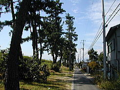 路肩のない道の脇には、こんな道がありました