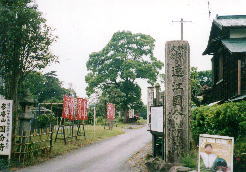 遠江国分寺跡