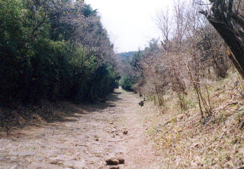 三島まで下り続ける箱根西坂ですっ！
