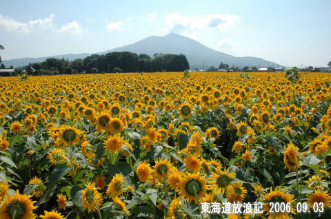 筑波山を背景に