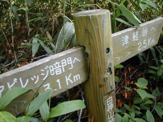 案内板。予想以上に歩いていることが判明