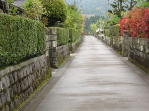 蒲生の町並み