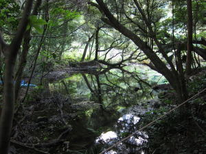良い感じ