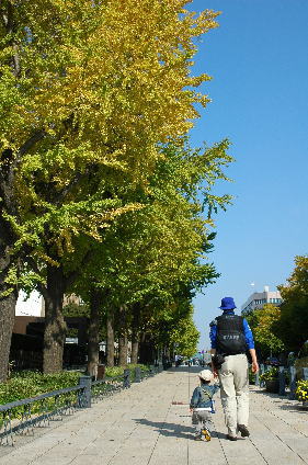 親子とイチョウ並木